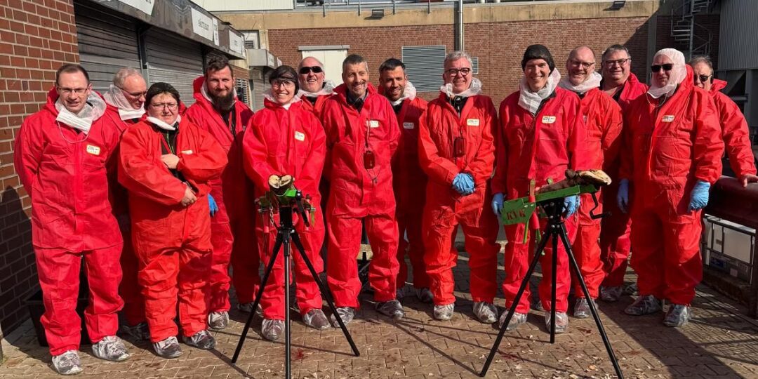 Gruppenbild Kuh und Schaf auf Weide