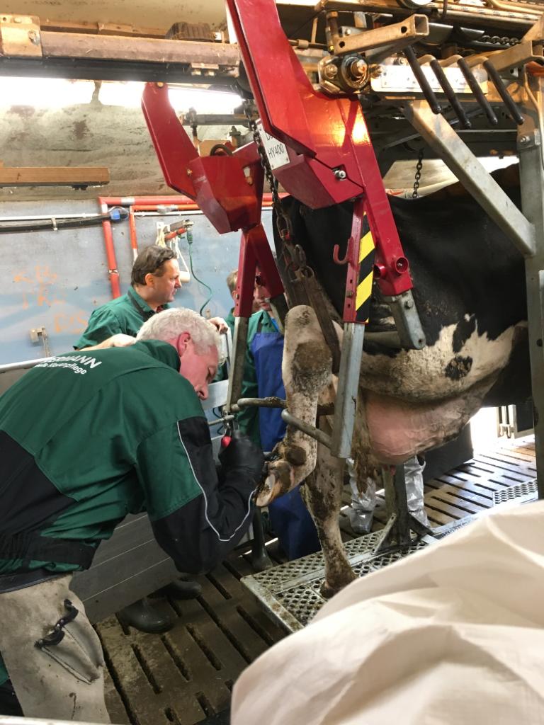 IMG-20191022-WA0002 VKKD-Seminar Oktober 2019