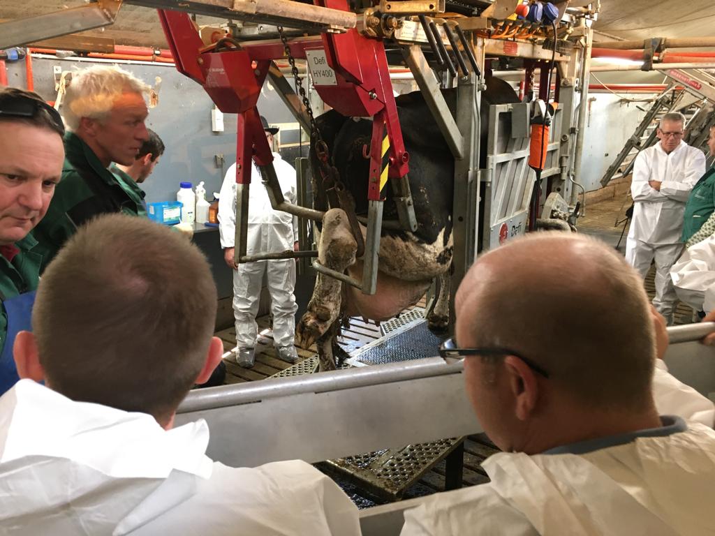 IMG-20191022-WA0003 VKKD-Seminar Oktober 2019