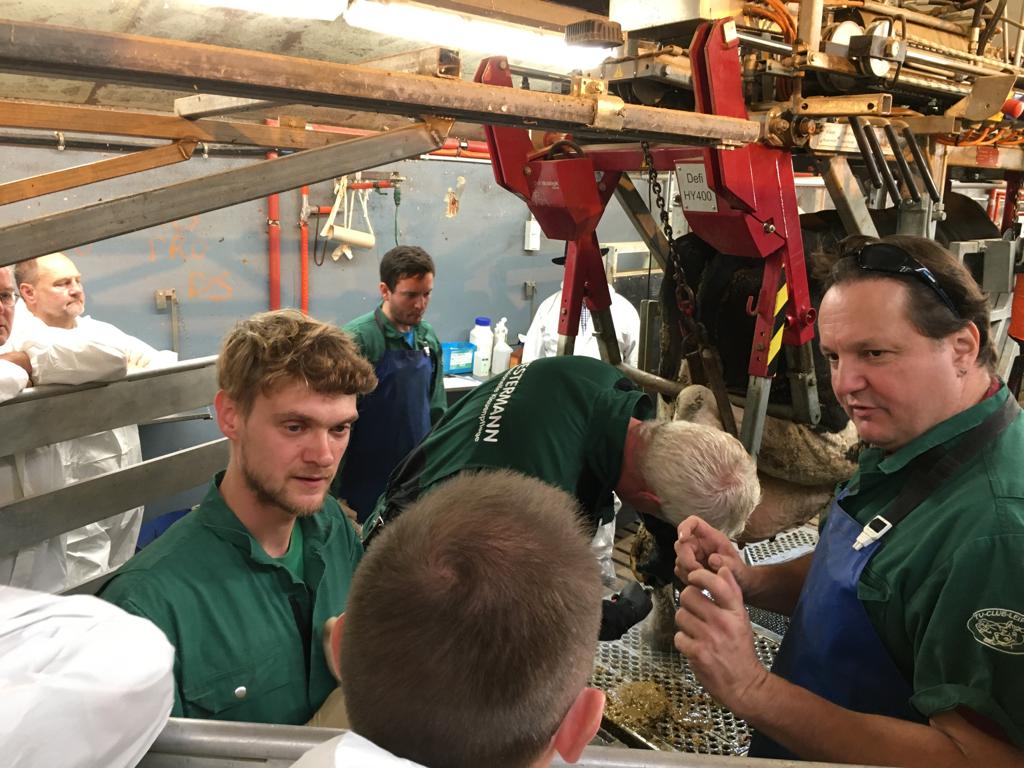 IMG-20191022-WA0006 VKKD-Seminar Oktober 2019