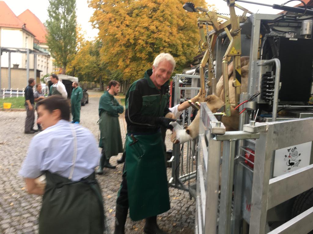 IMG-20191022-WA0013 VKKD-Seminar Oktober 2019