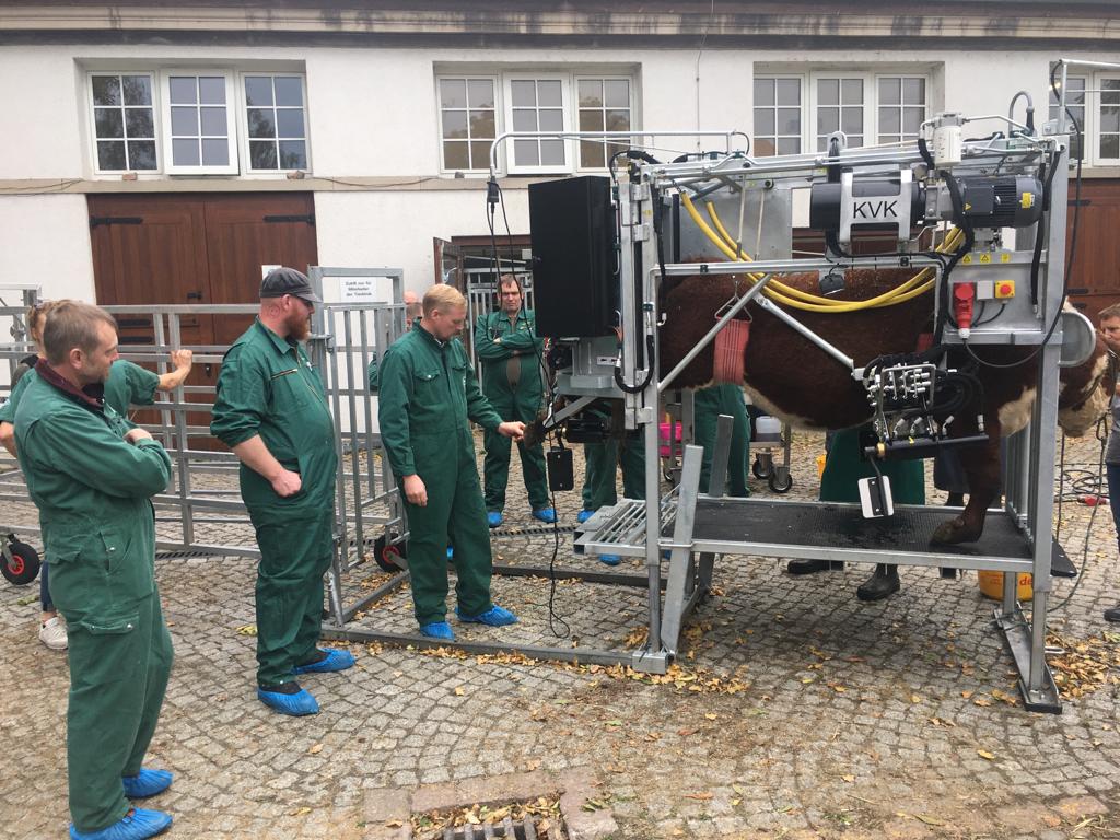 IMG-20191022-WA0019 VKKD-Seminar Oktober 2019