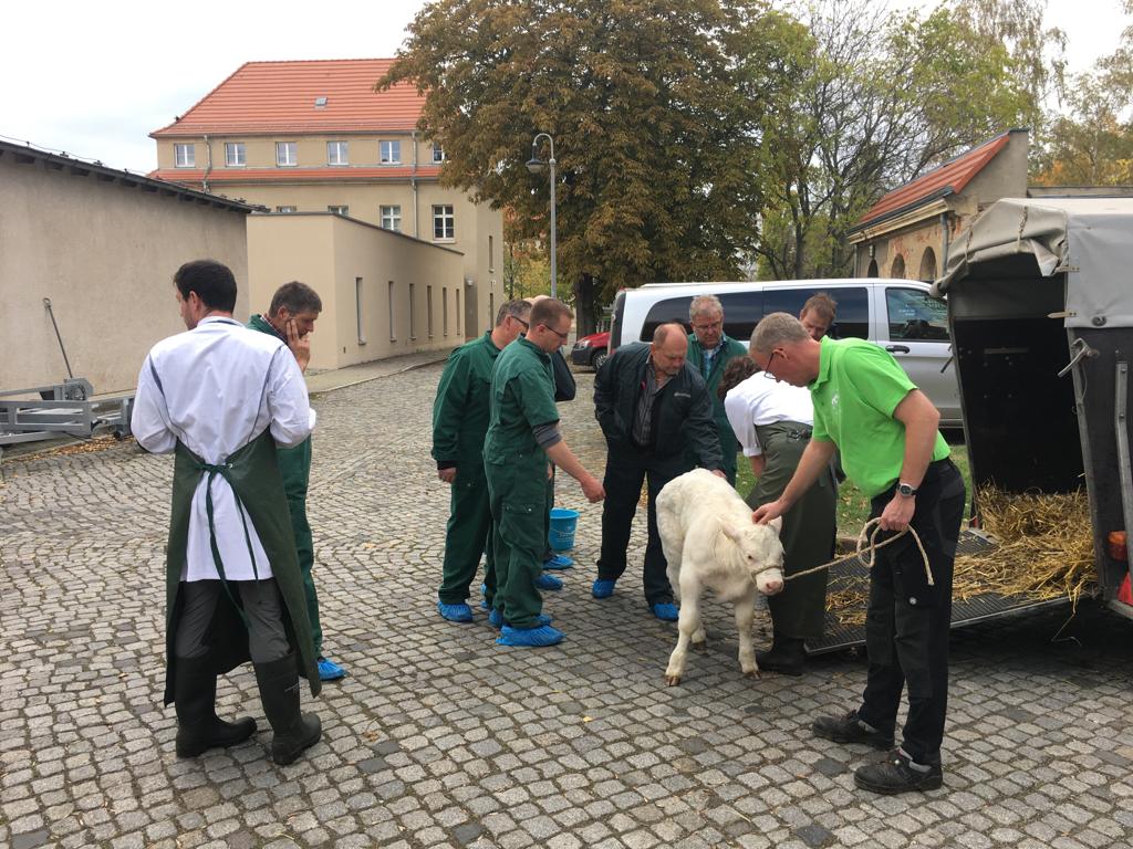 IMG-20191022-WA0022 VKKD-Seminar Oktober 2019