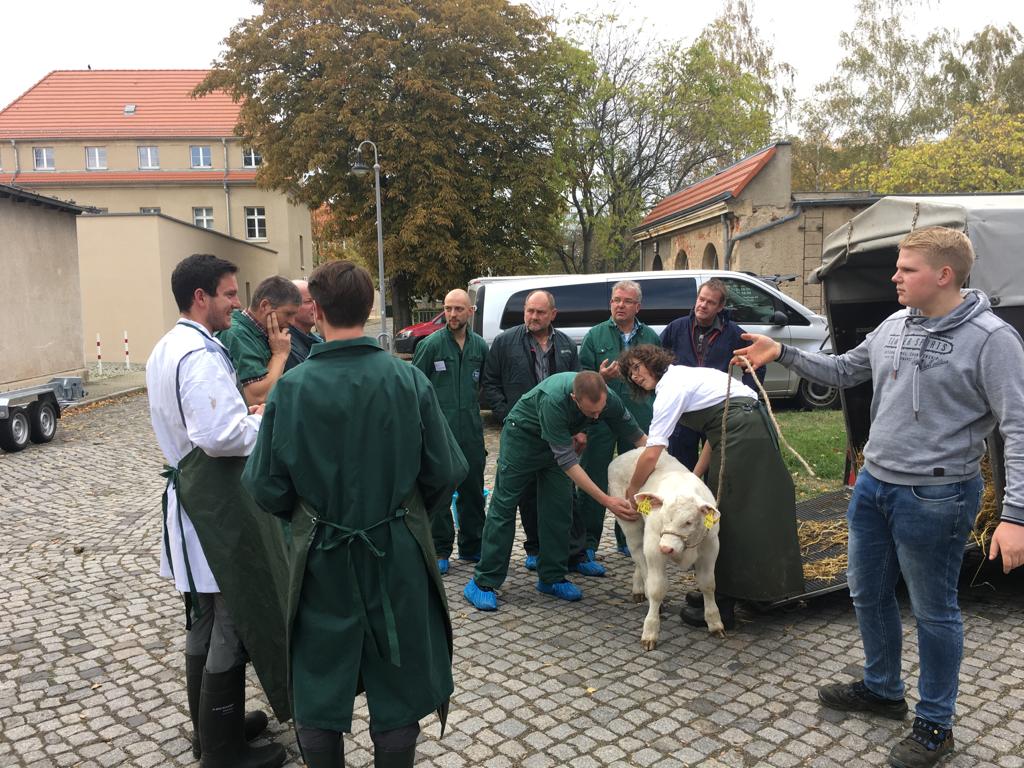 IMG-20191022-WA0023 VKKD-Seminar Oktober 2019