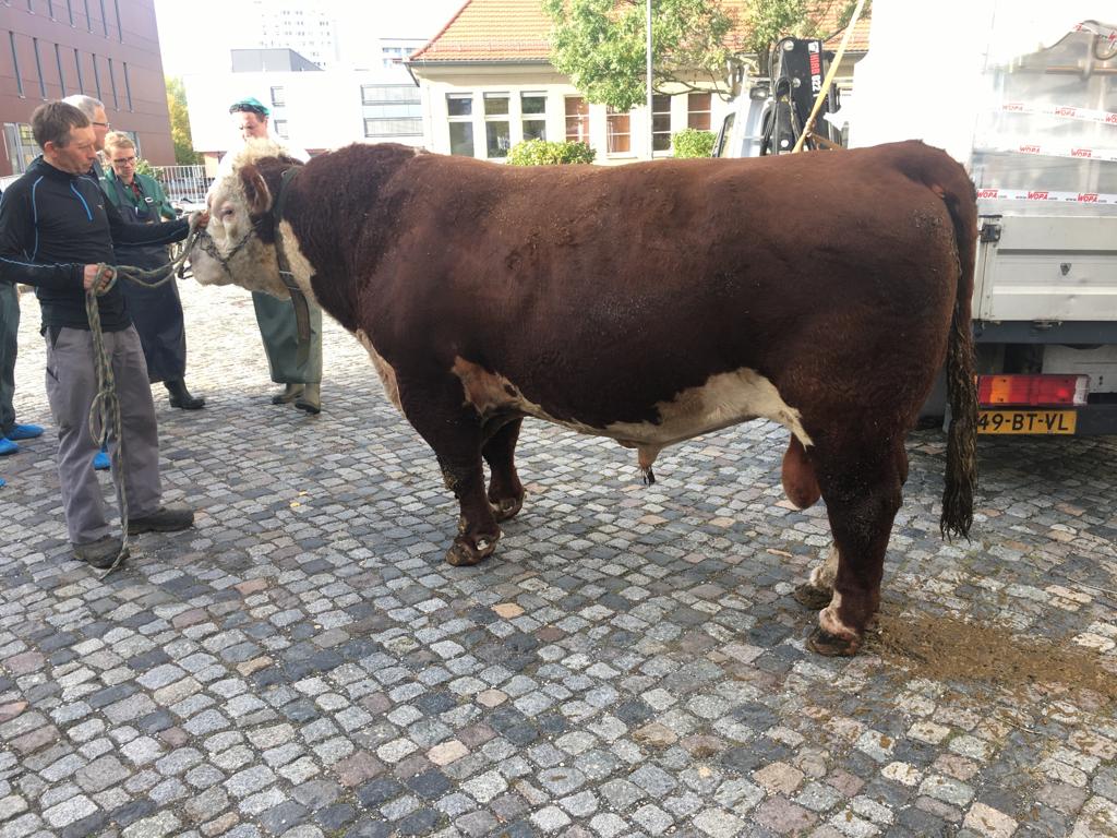 IMG-20191022-WA0024 VKKD-Seminar Oktober 2019