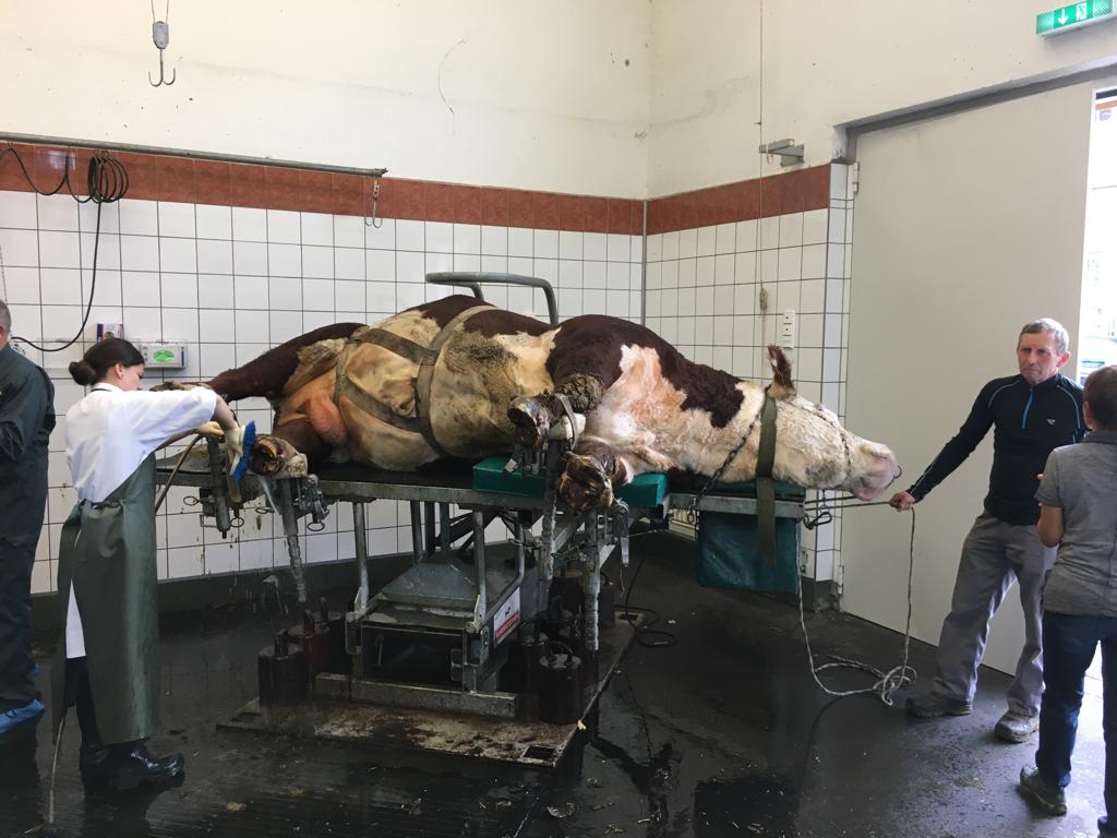 IMG-20191022-WA0027 VKKD-Seminar Oktober 2019