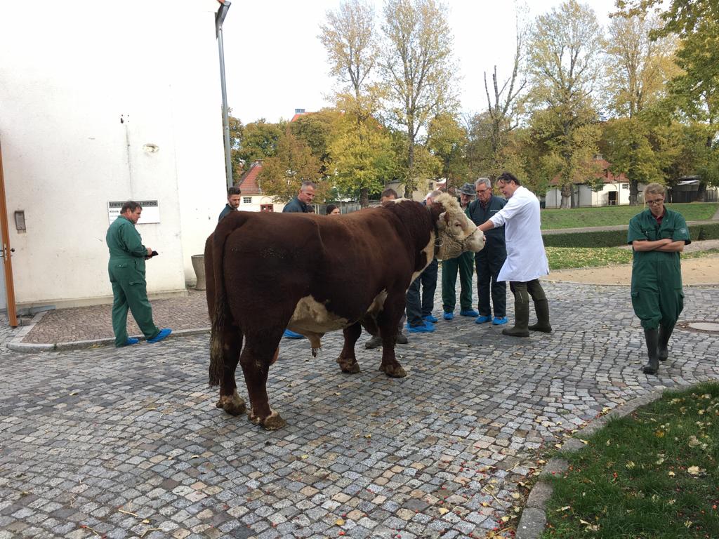 IMG-20191022-WA0028 VKKD-Seminar Oktober 2019