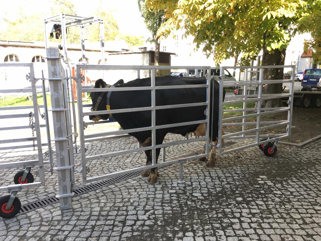 IMG-20191022-WA0036 VKKD-Seminar Oktober 2019