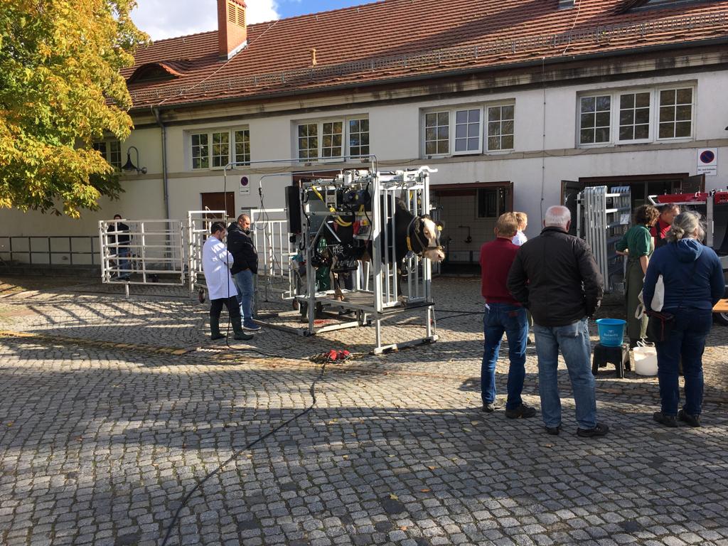 IMG-20191022-WA0044 VKKD-Seminar Oktober 2019