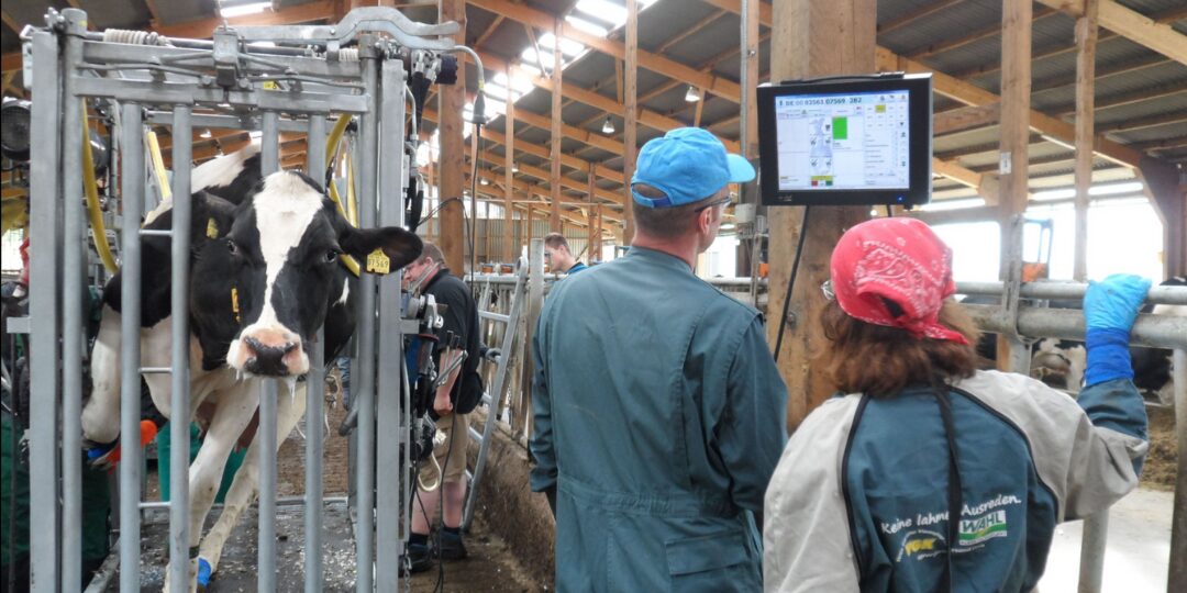 VKKD-Seminar Juni 2017