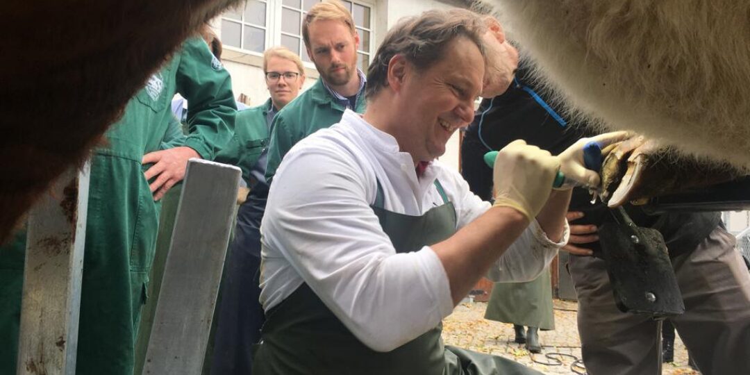 VKKD-Seminar Oktober 2019