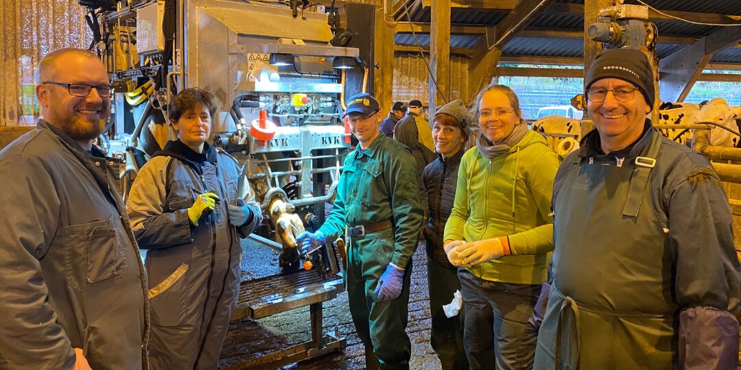 VKKD-Seminar Oktober 2021