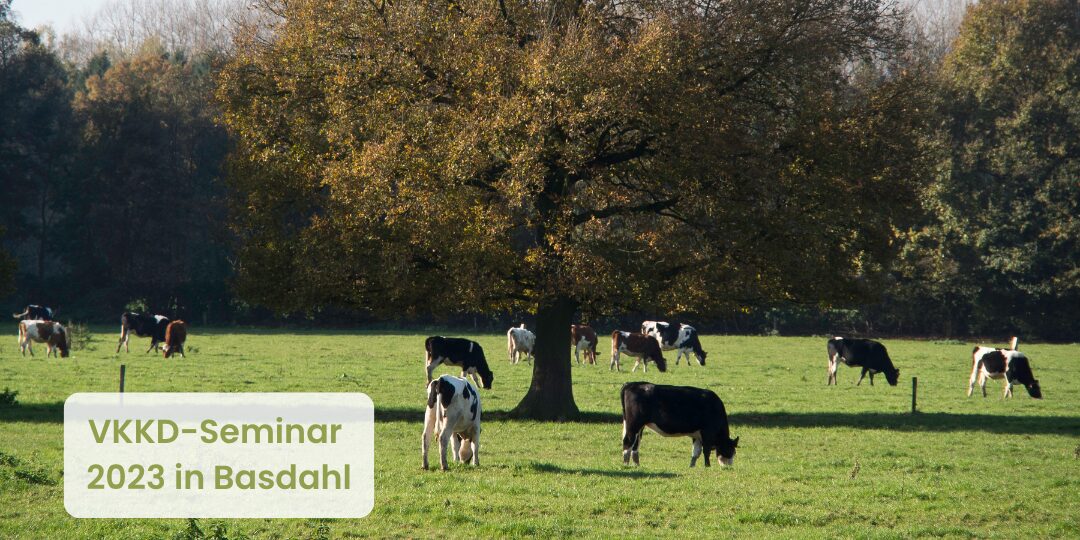 KKD-Seminar am 24. und 25. November 2023 in Basdahl