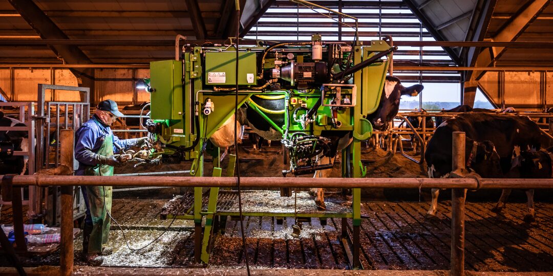 KVK Klauenpflegestand