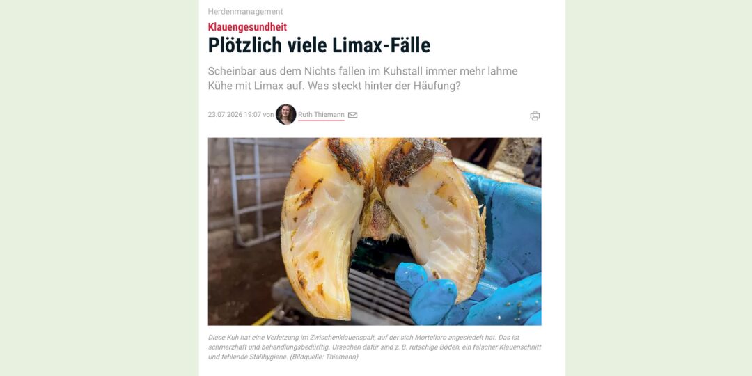 Beitrag Elite, offener Brief